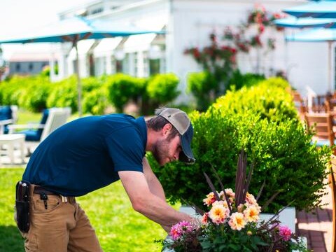 Enjoy a Garden Tour